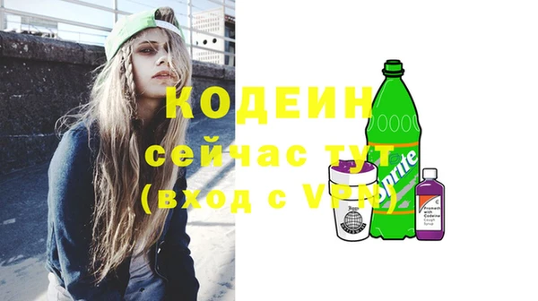 индика Горняк