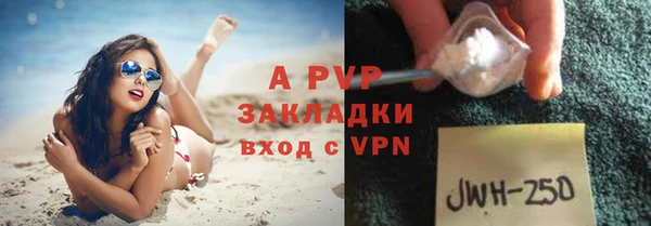 индика Горняк
