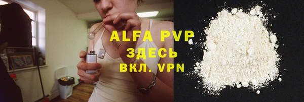 индика Горняк