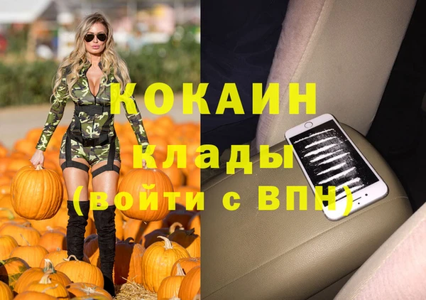 индика Горняк
