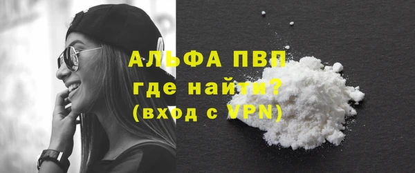 индика Горняк