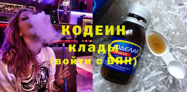 индика Горняк