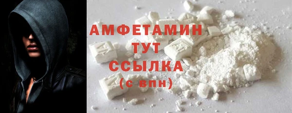 индика Горняк