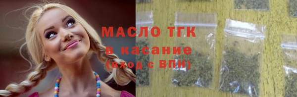 индика Горняк