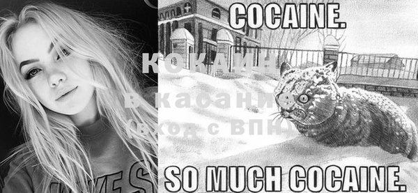 индика Горняк