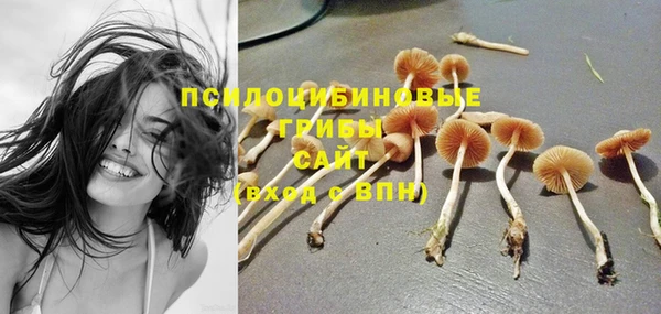 индика Горняк