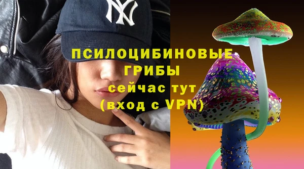 индика Горняк