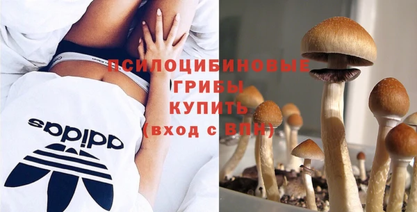 скорость Горно-Алтайск