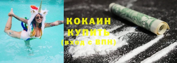 индика Горняк
