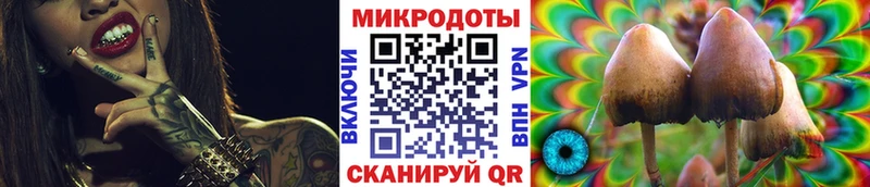 Галлюциногенные грибы Psilocybine cubensis  Купить  Бобров 